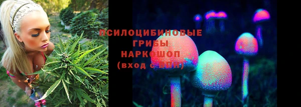 прущая мука Нефтекумск