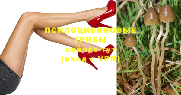гашиш Нея